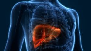 These changes are the result of the interaction between a person's genetic factors and three categories of. Results Of First In Human Focused Ultrasound Histotripsy Trial For Liver Cancer Presented Focused Ultrasound Foundation