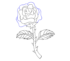 How To Draw A Rose In A Few Easy Steps Easy Drawing Guides I will show you how to draw the rose in easy to follow steps. how to draw a rose in a few easy steps