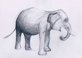 Check spelling or type a new query. Tren 36 Gambar Gajah Pensil