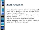 Visual Perception | PPT