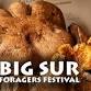 Big Sur Foragers Festival Fungus Face Off 2026 event image