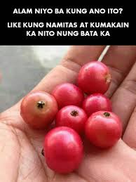 Aratilis Mansanitas In Cebuano Fruit Eat And Go Philippines Food