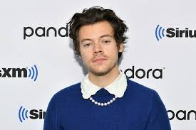 Pin By N On New Era Fl Album 2019 20 In 2020 Harry Styles Singer Style