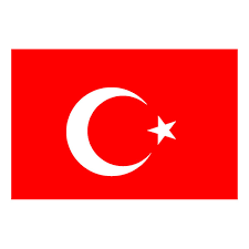 Förra året när jag åkte helt ensam med mina barn till turkiet sa jag aldrig mer. Flagga Turkiet Partykungen