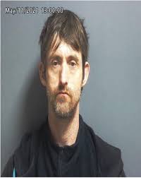 Greene County Jail Log