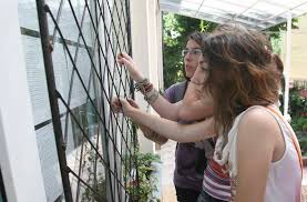 Prima afişare a rezultatelor este programată în data de 25 iunie 2019 până la ora 12:00. Evaluare NaÈ›ionalÄƒ 2019 Rezultate Finale DupÄƒ ContestaÈ›ii Capital