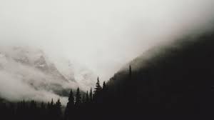 Maybe you would like to learn more about one of these? Rather Large Wallpaper Dump Dark Landscape Aesthetic Desktop Wallpaper Dark Wallpaper
