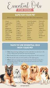 However, the reality is a little never leave essential oils or bottles in a place where your dog (or any other pets, or children). All You Need To Know About Essential Oils For Dogs Simply Earth Blog Essential Oils Dogs Dog Safe Essential Oils Dog Remedies