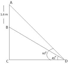 Length, width, and thickness of the kidney and its central echogenic area and the parenchymal thickness of the upper pole were measured in an renal dimensions and renal and parenchymal volume were correlated with age, height, weight, body mass index, and total body area. Https Byjus Com Questions 2021 02 10t05 54 05z Weekly Https Byjus Com Questions 0 6 24 60 120 210 2021 05 31t10 03 18z Weekly Https Byjus Com Questions 01 Mole Of Ch3nh2 Kb5 10 4 Is Mixed With 008 Mole Of Hcl And Diluted To One Litre What