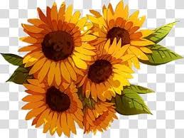 In a world full of roses be a sunflower png sublimation designs instant digital download my sublimation designs are high resolution digital png images (300dpi) with a transparent background. Flower Sunflowers Arrangement Transparent Background Png Clipart Flower Bouquet Drawing Sunflower Arrangements Flower Picture Frames
