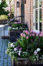 Pin By Sulochana Hardie On Spring Easter In Violet Lilac And Purple Spring Bulbs Garden Garden Bulbs Cottage Garden