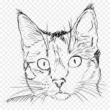 Kedi Kedi Cizgi Sanat Cizim Kedi Yuz Seffaf Png Goruntusu