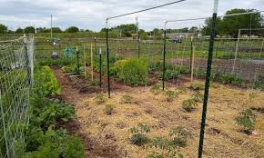 No till gardening or no dig gardening is a gardening method many people use to create organic gardens. No Dig Garden Bed Good Soil With Less Work Epic Gardening