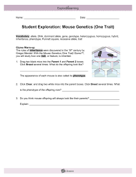 The purpose of these questions is to activate prior knowledge and get students thinking. Student Exploration Mouse Genetics One Trait