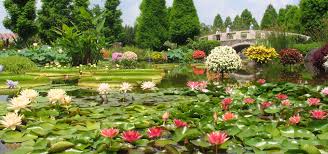 Mizunomori Water Botanical Garden Kusatsu Aquatic Botanial Garden Hotel Near Mizunomori Water Botanical Garden Kusatsu Aquatic Botanial Garden Nearby Attractions Lake Biwa Otsu Prince Hotel