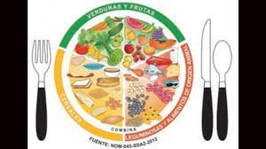 We did not find results for: El Plato Del Bien Comer Y De La Jarra Del Bien Beber Primaria Un1on Puebla