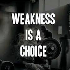 DAN INBAR (@daninbar111)