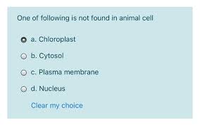 We did not find results for: One Of Following Is Not Found In Animal Cell O A Chegg Com