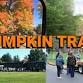 Pumpkin Train