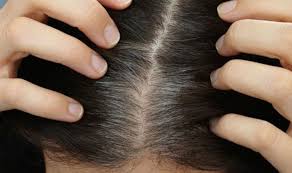 This hair dye is salon quality, meaning this is the type of product your hair stylist might reach for when coloring your hair. Best Colour To Hide Grey Hair How To Dye Grey Roots Samachar Central