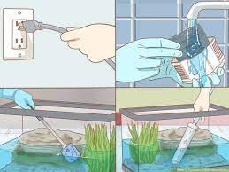 These turtles are all relatively small and have similar care requirements but are very different from that of an aquatic turtle. 4 Ways To Take Care Of Baby Water Turtles Wikihow