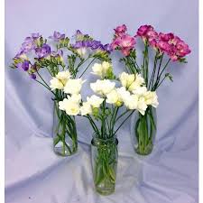 Losing your pet must have felt like losing a member of your family. Sympathy Flowers Etiquette 10 Common Questions Answered