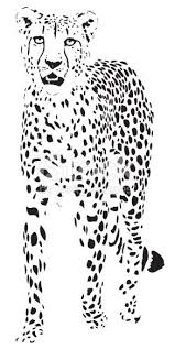 Black And White Cheetah Drawing Beautiful Cheetah Portrait Illustration In Black Lines Portret Illustratie Kunst Illustraties Pentekeningen