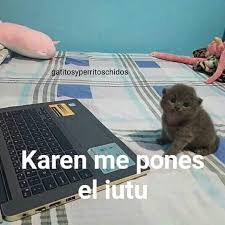 Pin En Memes Para Sticker