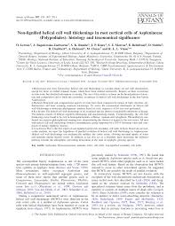 Image result for Asplenium rukararense