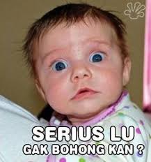  22 Video Haiwan Haiwan Peliharaan Haiwan Lucu