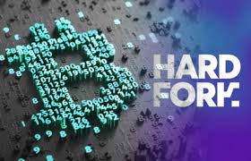 Ahah it is too funny share more memes! Bitcoin Matrix Meme Bitcoin Hard Fork And Litecoin Effect Nepalisexyjokes Com