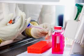 The public health agency of sweden is a swedish government agency with national responsibility for public health. Folkhalsomyndigheten Krisinformation Se