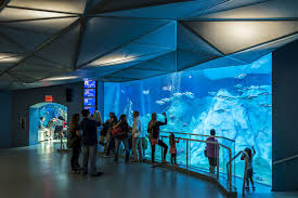 The Polk Penguin Conservation Center At The Detroit Zoo Won The 2017 Exhibit Award From The Association Of Zoos Aquarium Detroit Zoo Dublin Zoo Zoo Education