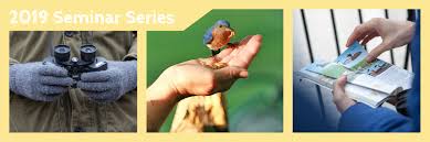 Many gardeners planting specifically to attract hummingbirds are tending more and more to go with this is a list of known and possible plants that hummingbirds visit, which are native to michigan. Seminar Series Plants For Hummingbirds Michigan Audubon