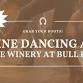 Line Dancing at The Winery at Bull Run! (ages 18+) event image