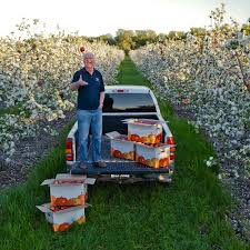 Birthday, love and romance, sympathy, get well, congratulations Cold Climate Apples And Grapes Put University Of Minnesota On The Map Farmtario