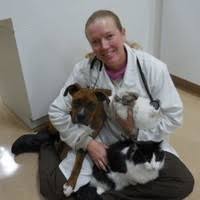 Companion pet clinic of arizona gold canyon, az 85118. Susanne Lanini Veterinarian Golden Oaks Vet Hospital Linkedin