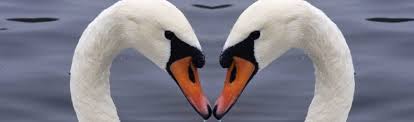 Was Ist Liebe Zitate Und Gedanken Zu Liebe Eifersucht Und