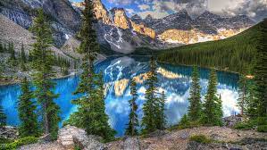 Android users need to check their android version as it may vary. 8k Ultra Hd Nature Hd Wallpaper Wallpaperbetter