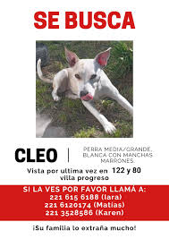 Chinchu te seguimos buscando