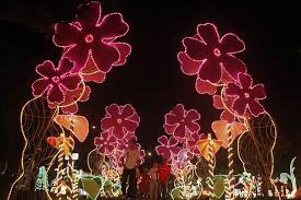Christmas Lights In Cali Colombia Xmas Lights Christmas In America Christmas Lights