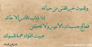 أبيات شعر قصيرة عن الفتى