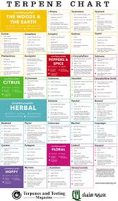 terpenes hemp edification