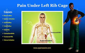 The area around the thoracic cavity or the pain and discomfort under left rib cage may be experienced after consumption of food. Pain Under Left Rib Cage Treatment Causes Diagnosis