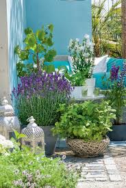 Vom Garten Bis Zur Kuche Ideen Mit Lavendel Bepflanzung Lavendel Pflanzen Und Terrasse Blumen