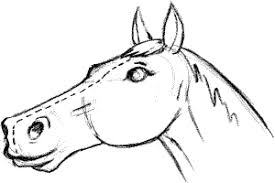 Donc, nous avons tracé déjà une bonne partie de la structure de base. Dessiner Un Cheval Pour La Bande Dessinee