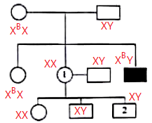 1 intermediet  1 : Pola Hereditas Pengertian Pembahasan Contoh Soal Soalfismat Com