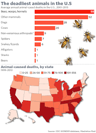 trump may hate sharks but these animals cause more deaths