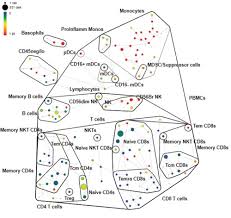 Image result for Basophil Count
