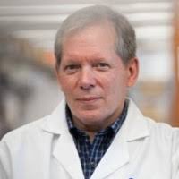 200+ "Kolls" profiles